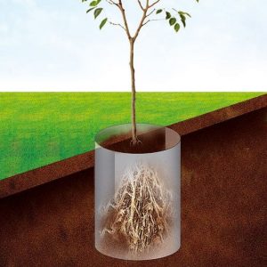 DuPont Root Barrier: protect against unwanted roots and weeds