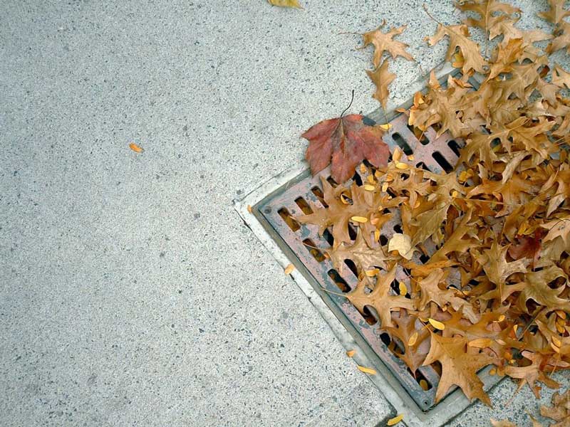 grate blocked by leaves
