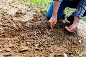 How to carry out a soil percolation test