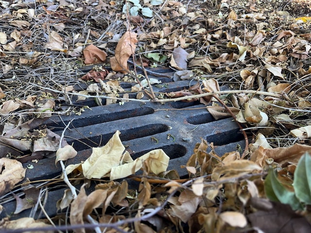 grate blocked with a large amount of dry leaves