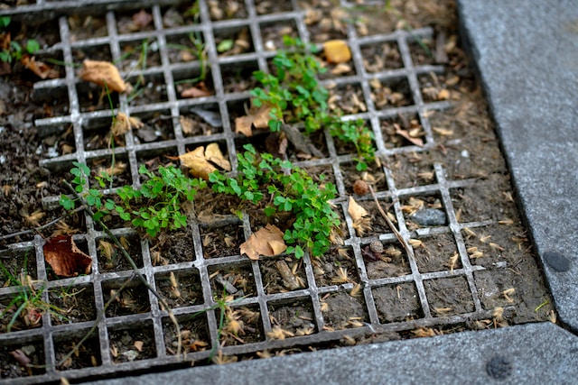grate blocked with dirt and soil