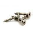 Guttering Screws
