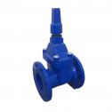 Gate Valves