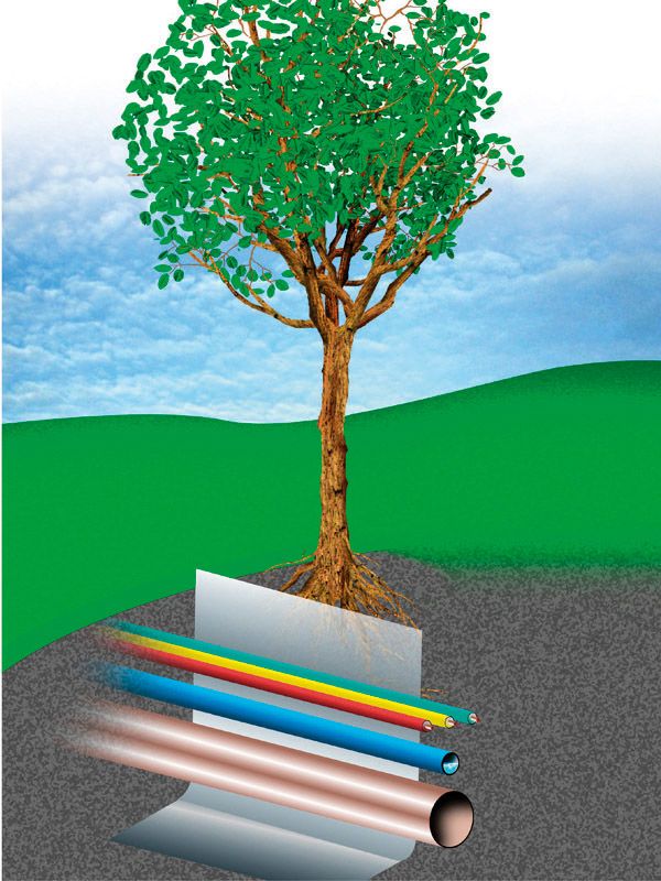 DuPont Root Barrier Bamboo Rhizome Damage Protection Fabric 1m x 30m